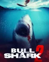 Bull Shark 2