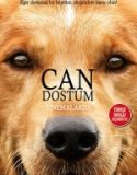 Can Dostum / A Dog’s Purpose