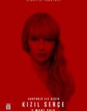 Kızıl Serçe / Red Sparrow